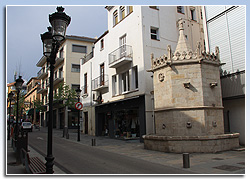 Carrer Ample